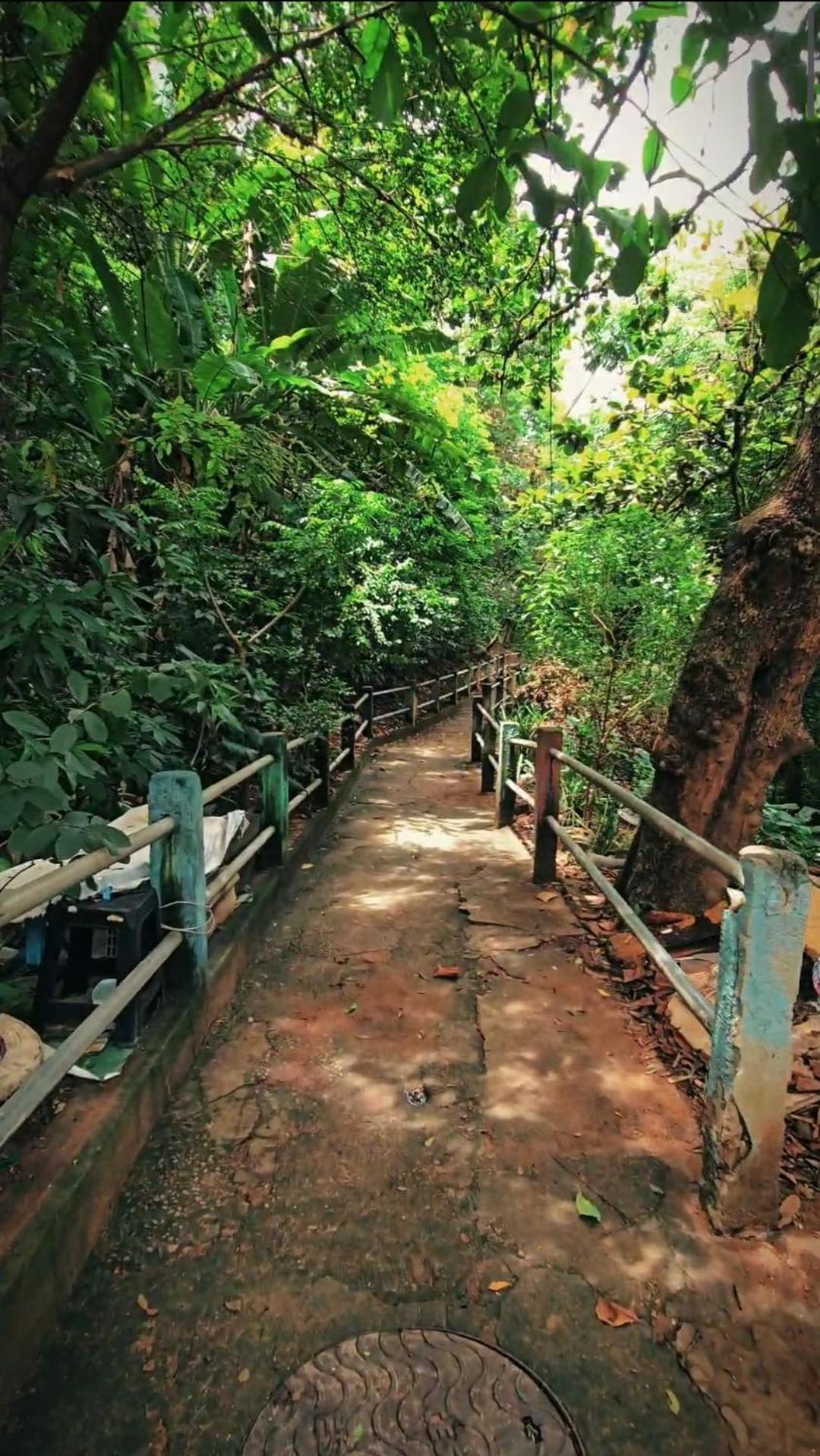Hostel Chico Lessa Vitória Exteriér fotografie